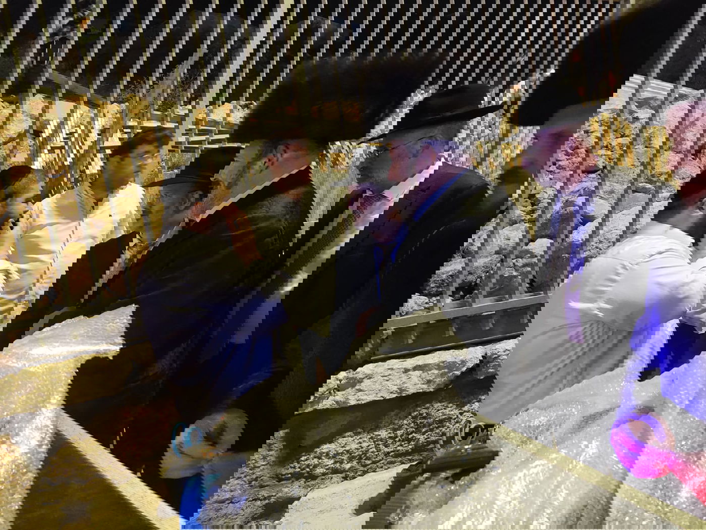 זופניק בכיכר • כל התמונות, הנייעס והחשיפות של סוכות