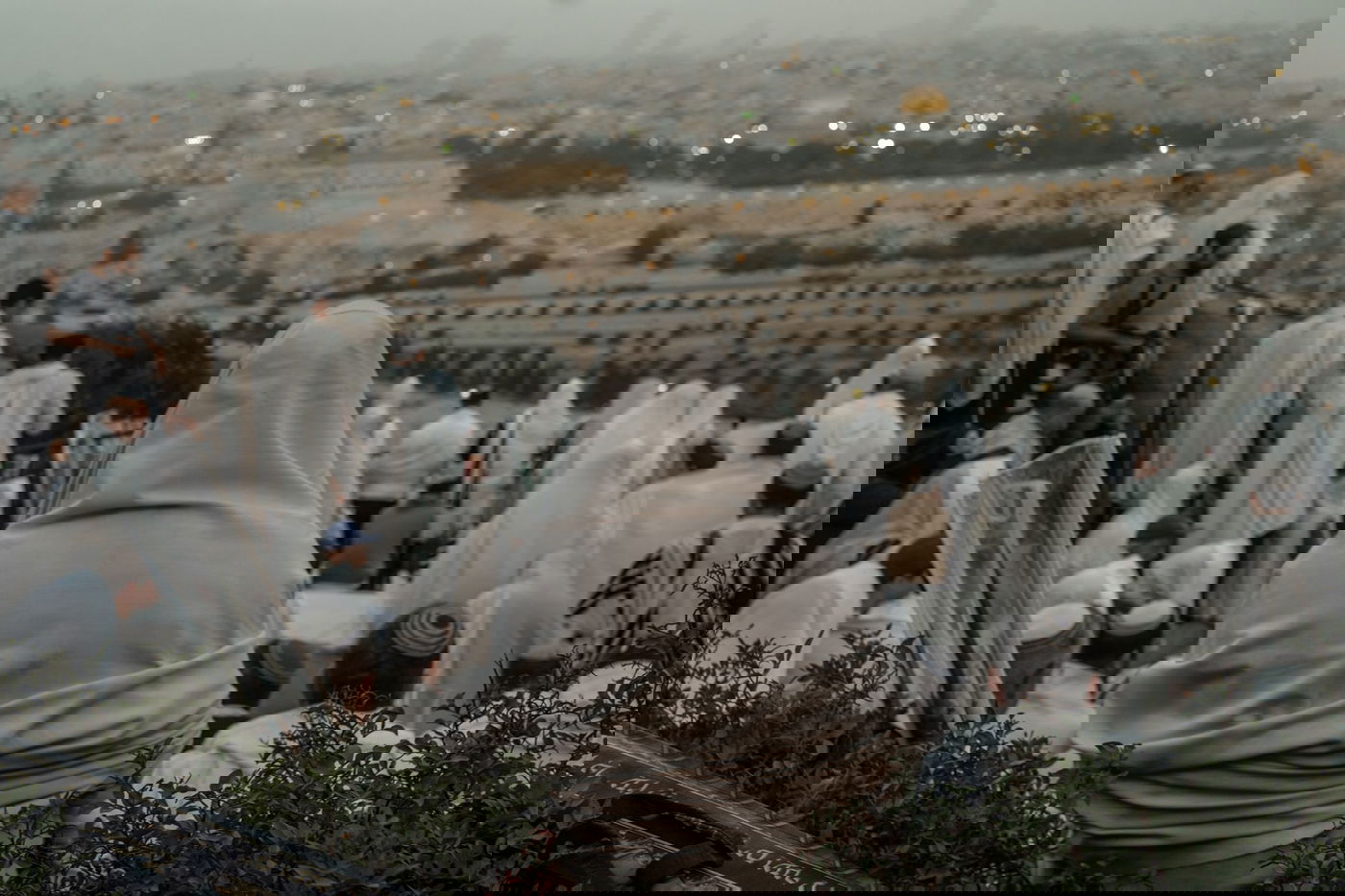 אחרי הלימוד הלילי: תפילת הושענא רבה במרומי הר הזיתים