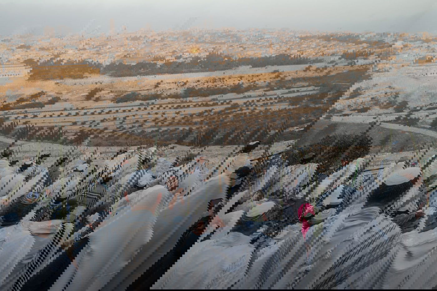 אחרי הלימוד הלילי: תפילת הושענא רבה במרומי הר הזיתים