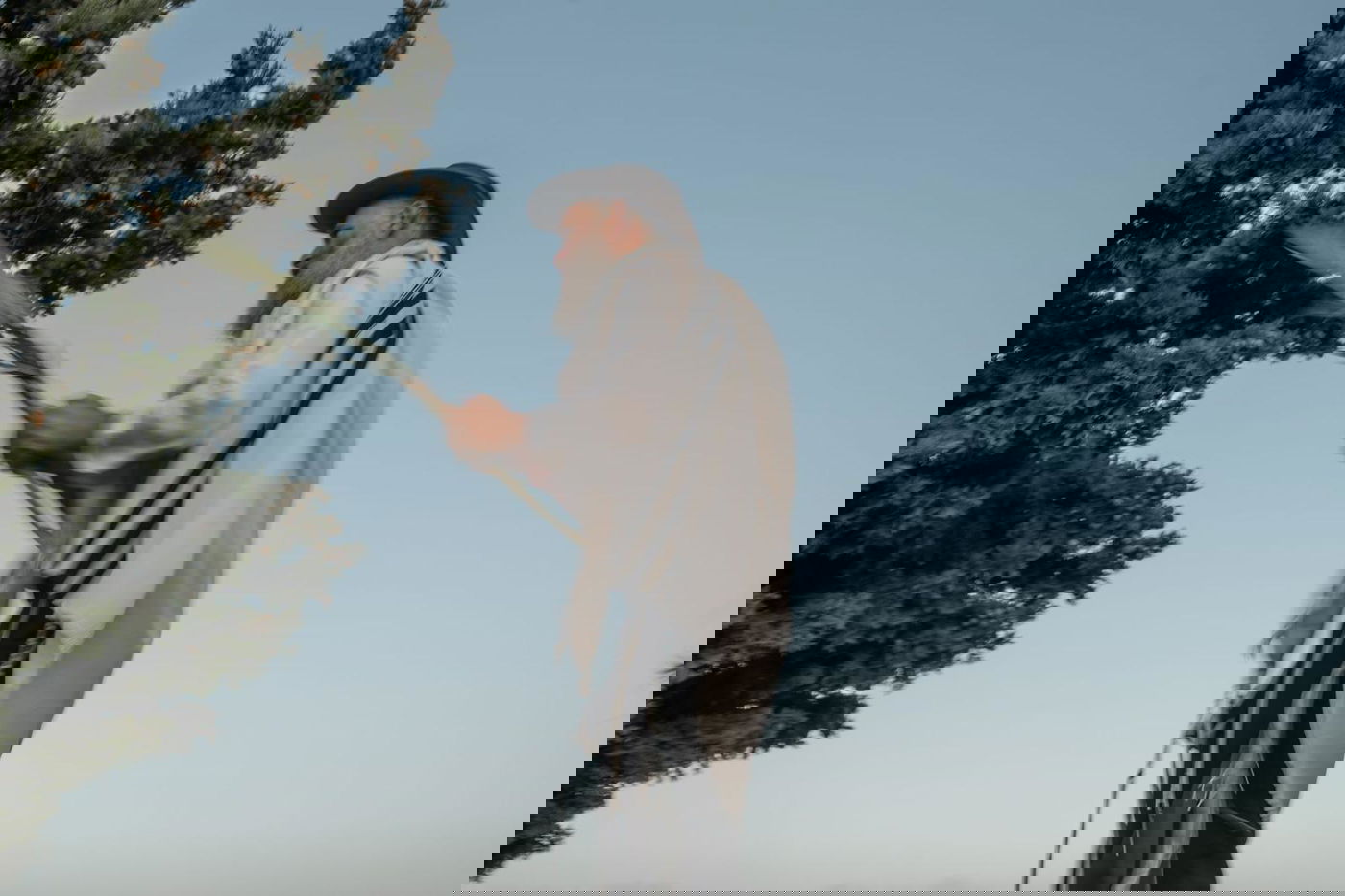 אחרי הלימוד הלילי: תפילת הושענא רבה במרומי הר הזיתים