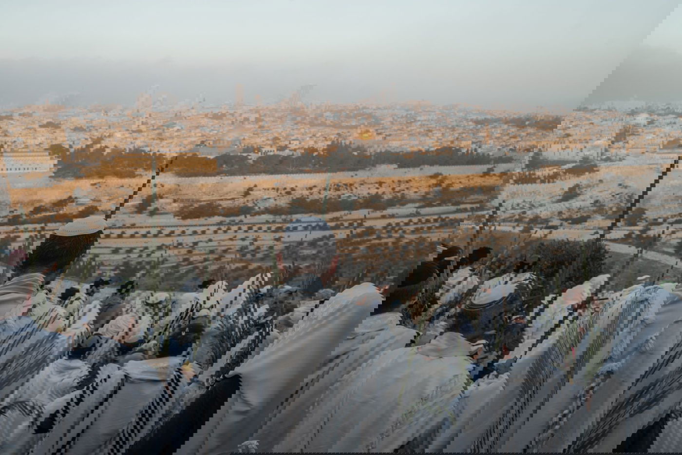 אחרי הלימוד הלילי: תפילת הושענא רבה במרומי הר הזיתים