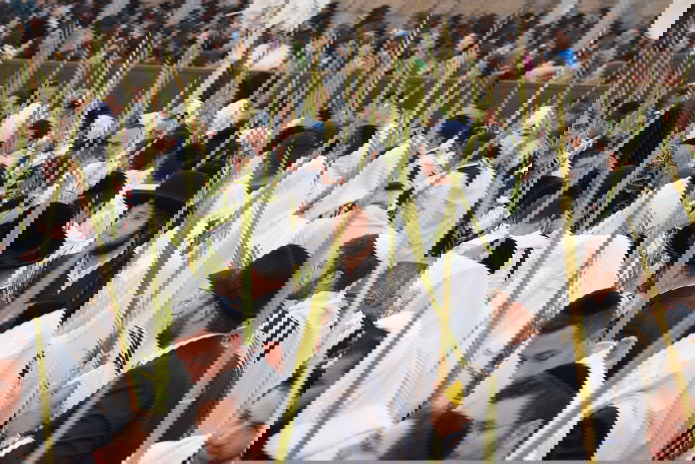 תיעוד: גלרייה אומנותית מרהיבה מהושענא רבא בכותל 