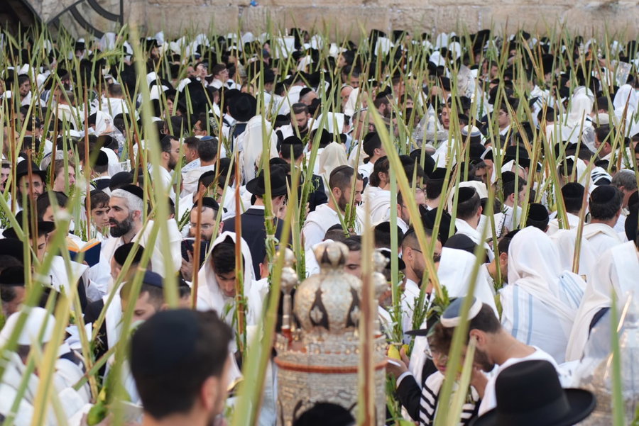 תיעוד: גלרייה אומנותית מרהיבה מהושענא רבא בכותל