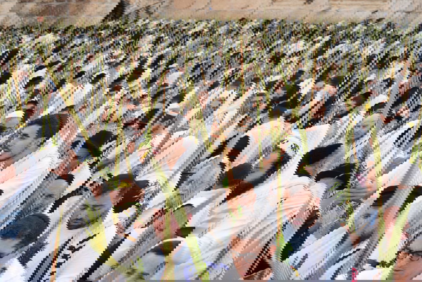 תיעוד: גלרייה אומנותית מרהיבה מהושענא רבא בכותל 