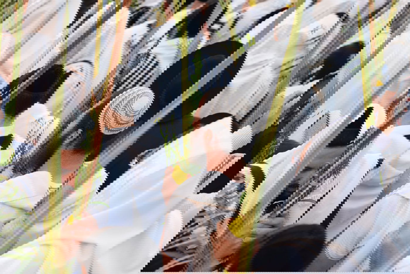 תיעוד: גלרייה אומנותית מרהיבה מהושענא רבא בכותל 