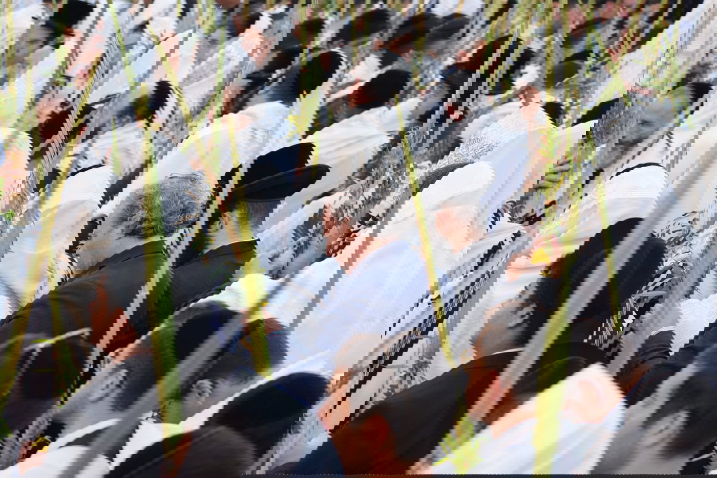 תיעוד: גלרייה אומנותית מרהיבה מהושענא רבא בכותל 