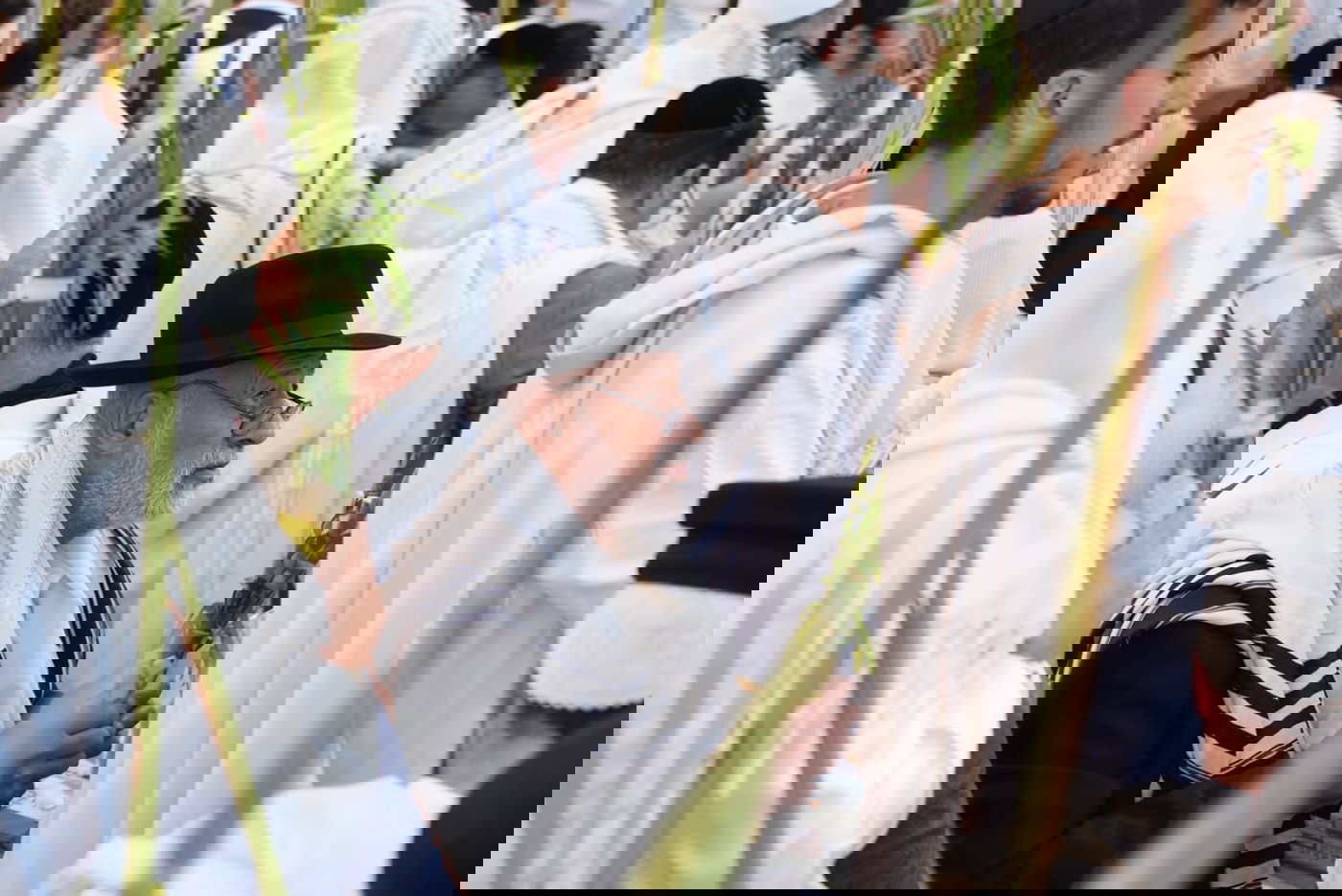 תיעוד: גלרייה אומנותית מרהיבה מהושענא רבא בכותל 