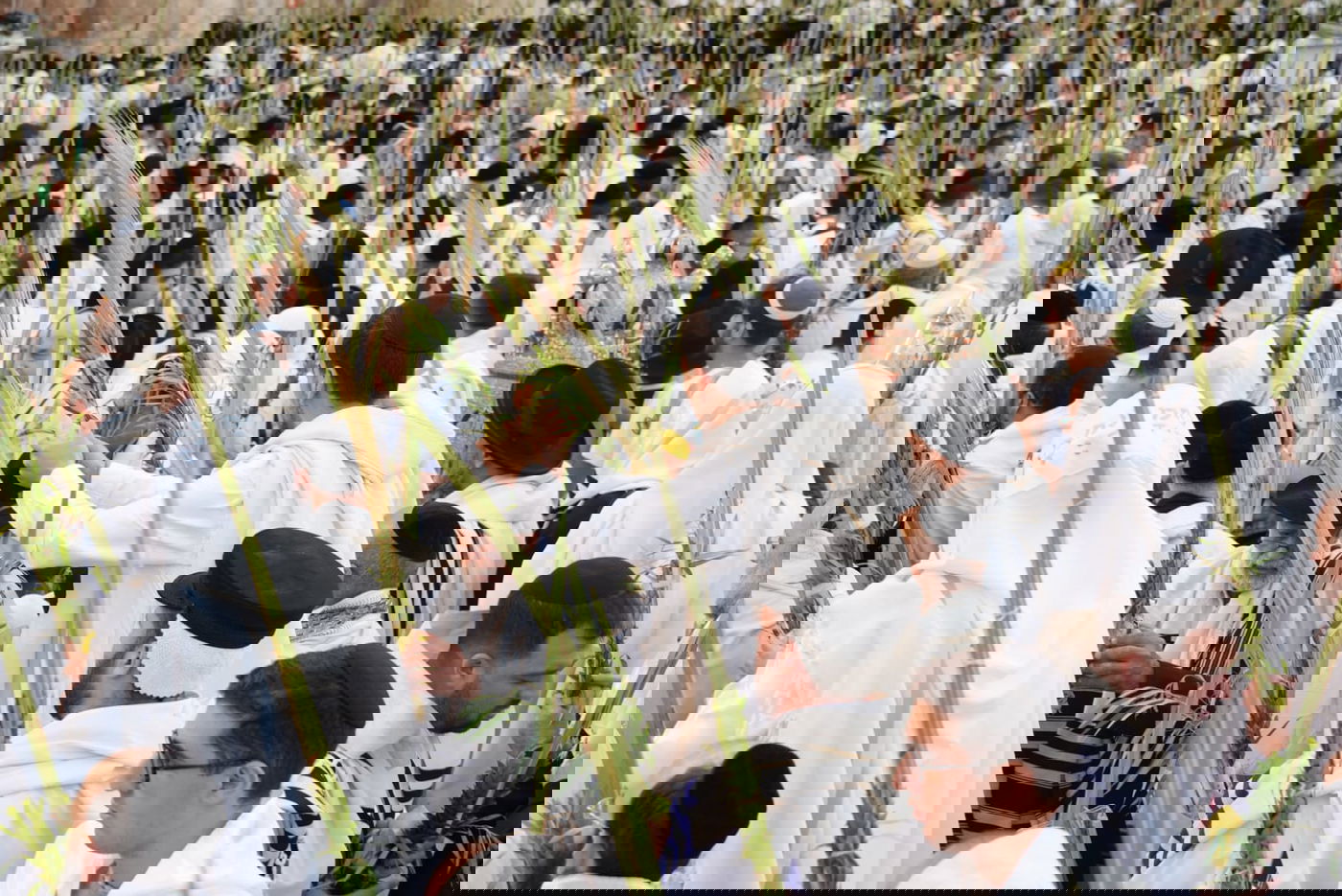 תיעוד: גלרייה אומנותית מרהיבה מהושענא רבא בכותל 