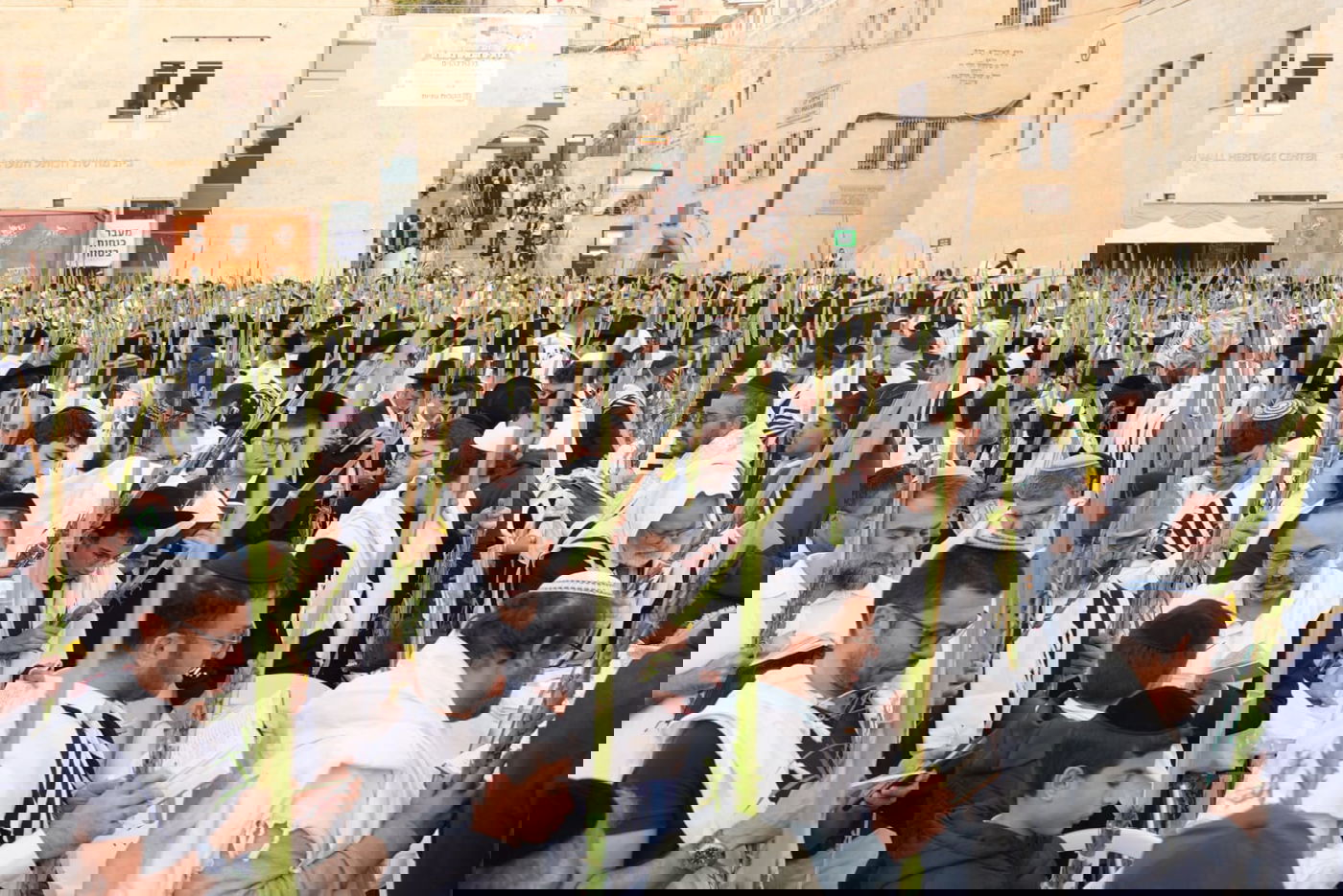 תיעוד: גלרייה אומנותית מרהיבה מהושענא רבא בכותל 