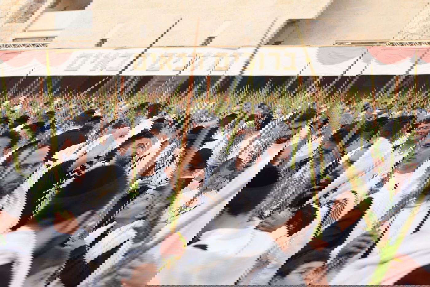 תיעוד: גלרייה אומנותית מרהיבה מהושענא רבא בכותל 