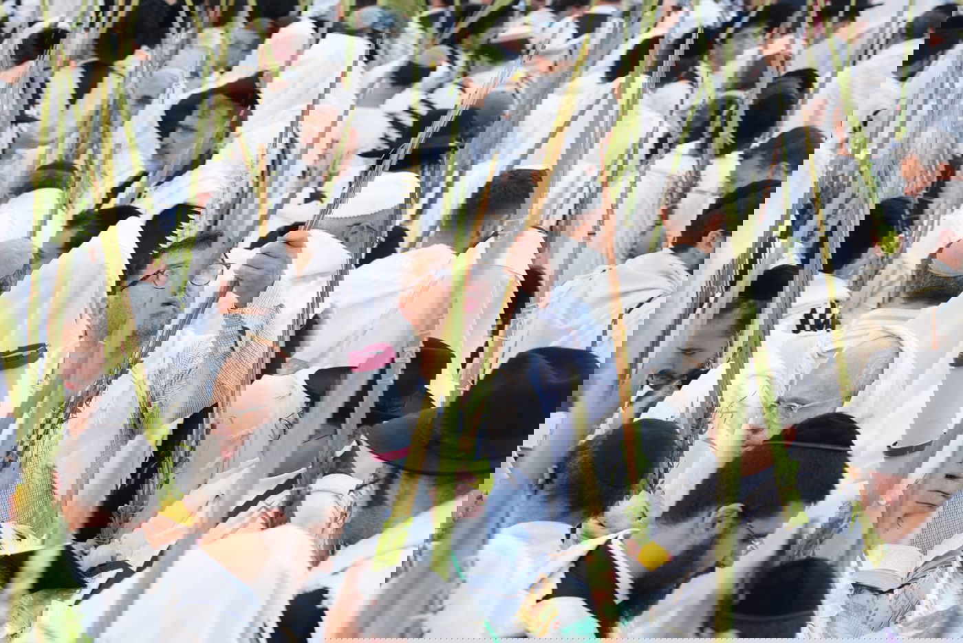 תיעוד: גלרייה אומנותית מרהיבה מהושענא רבא בכותל 