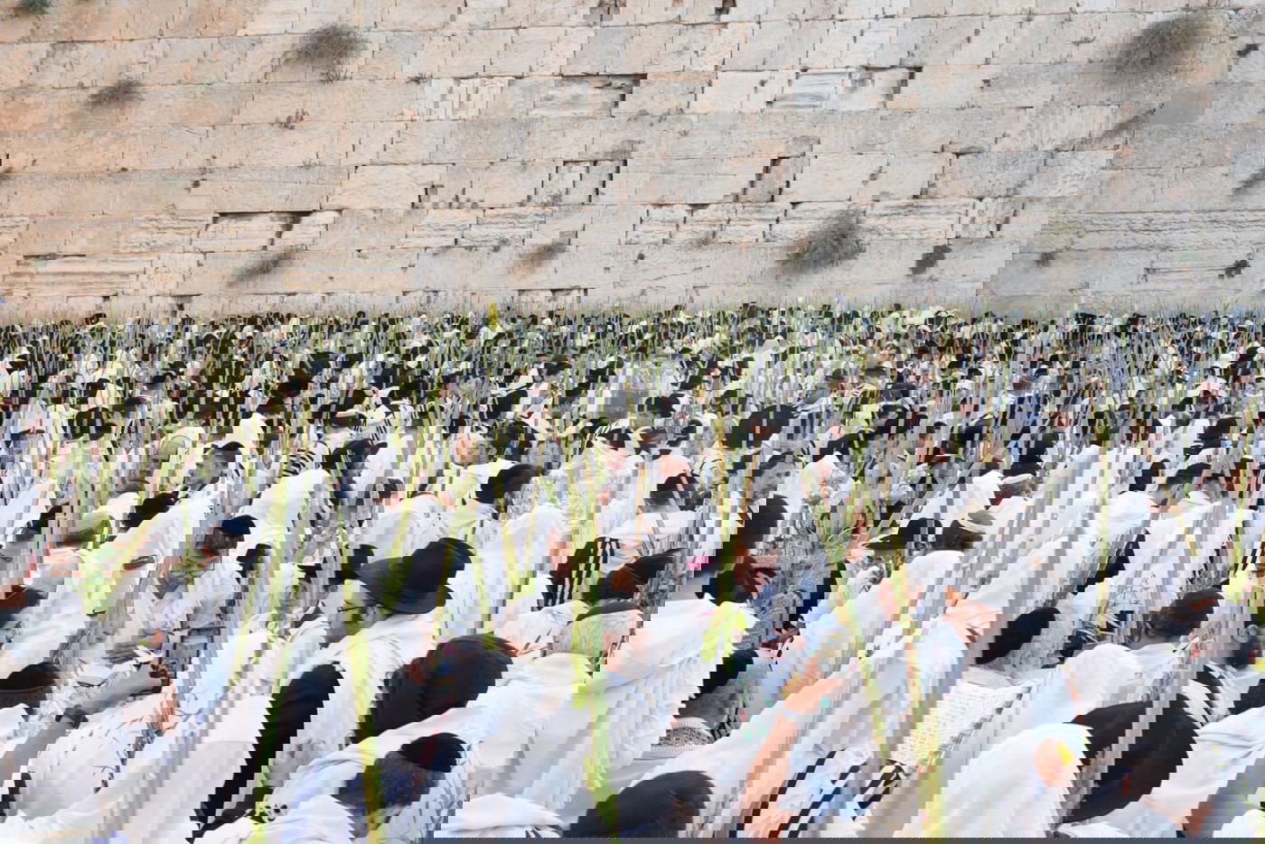 תיעוד: גלרייה אומנותית מרהיבה מהושענא רבא בכותל 