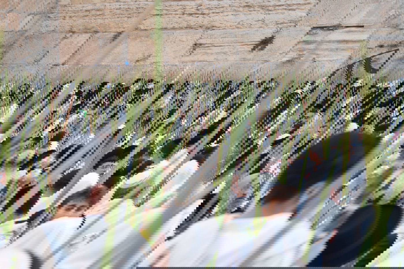 תיעוד: גלרייה אומנותית מרהיבה מהושענא רבא בכותל 