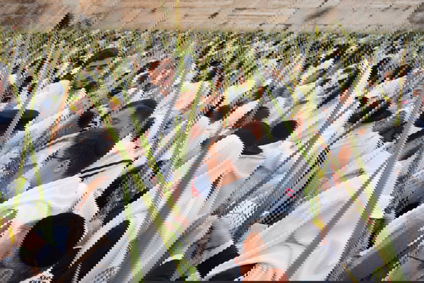 תיעוד: גלרייה אומנותית מרהיבה מהושענא רבא בכותל 