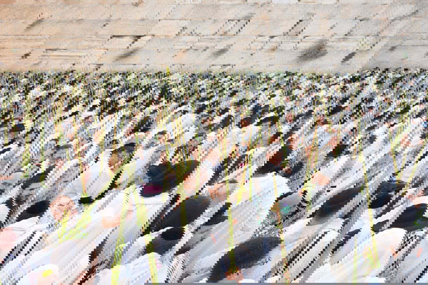 תיעוד: גלרייה אומנותית מרהיבה מהושענא רבא בכותל 