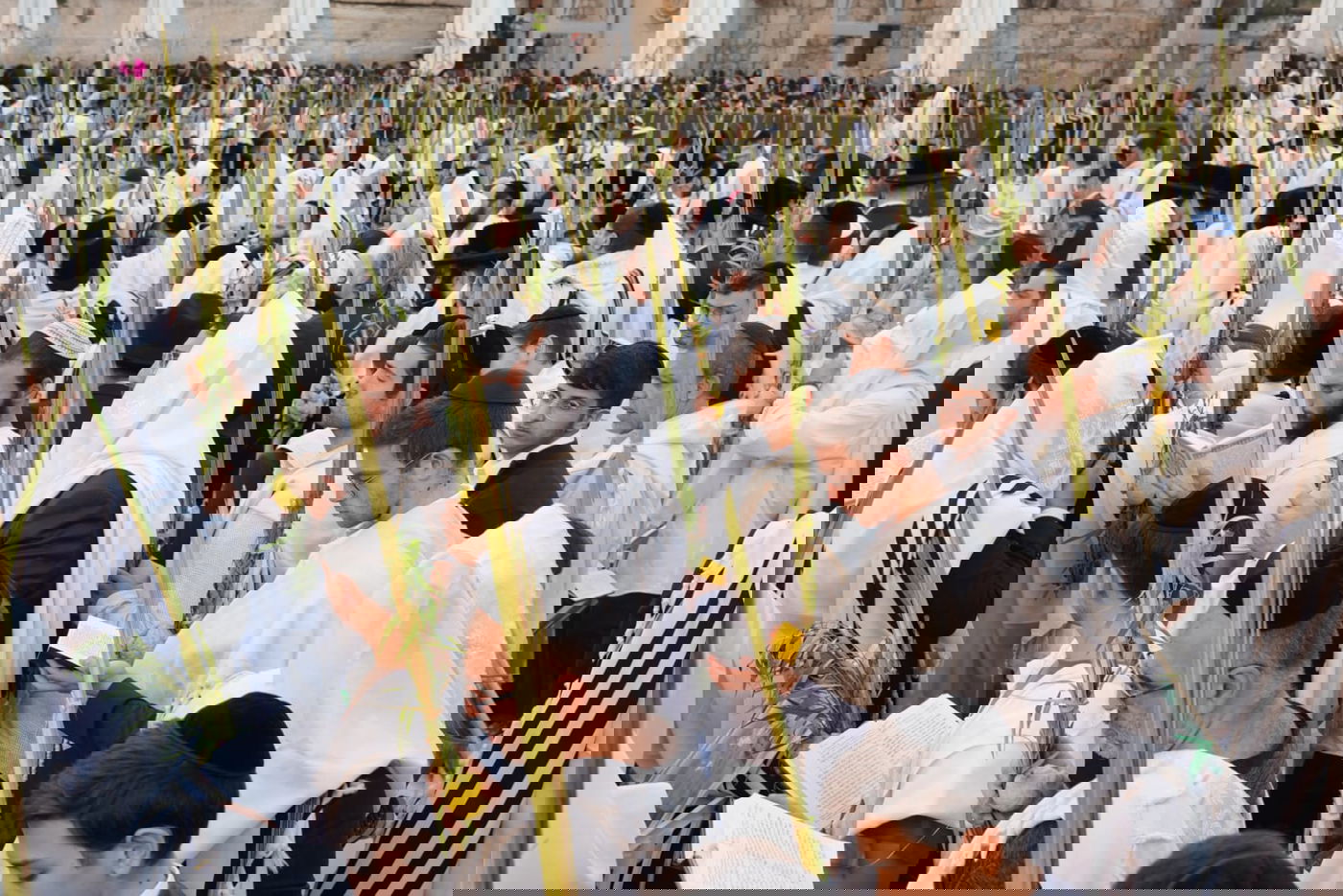 תיעוד: גלרייה אומנותית מרהיבה מהושענא רבא בכותל 