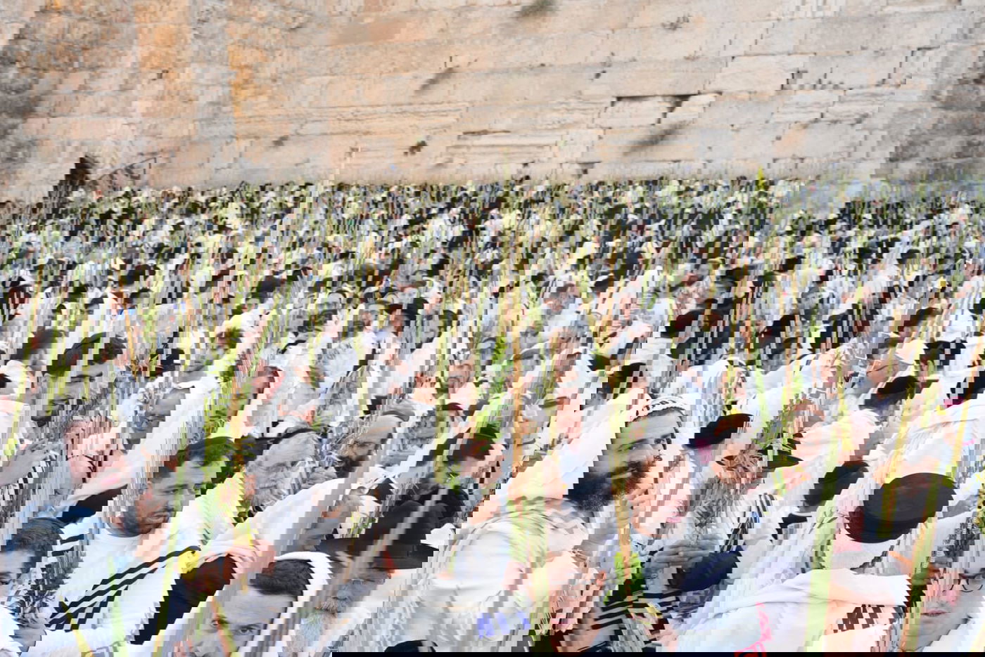 תיעוד: גלרייה אומנותית מרהיבה מהושענא רבא בכותל 