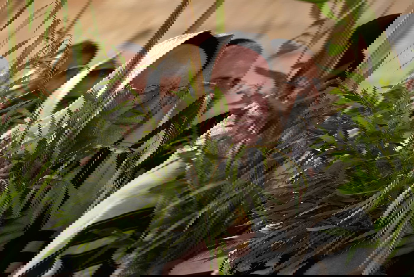 תיעוד: גלרייה אומנותית מרהיבה מהושענא רבא בכותל 