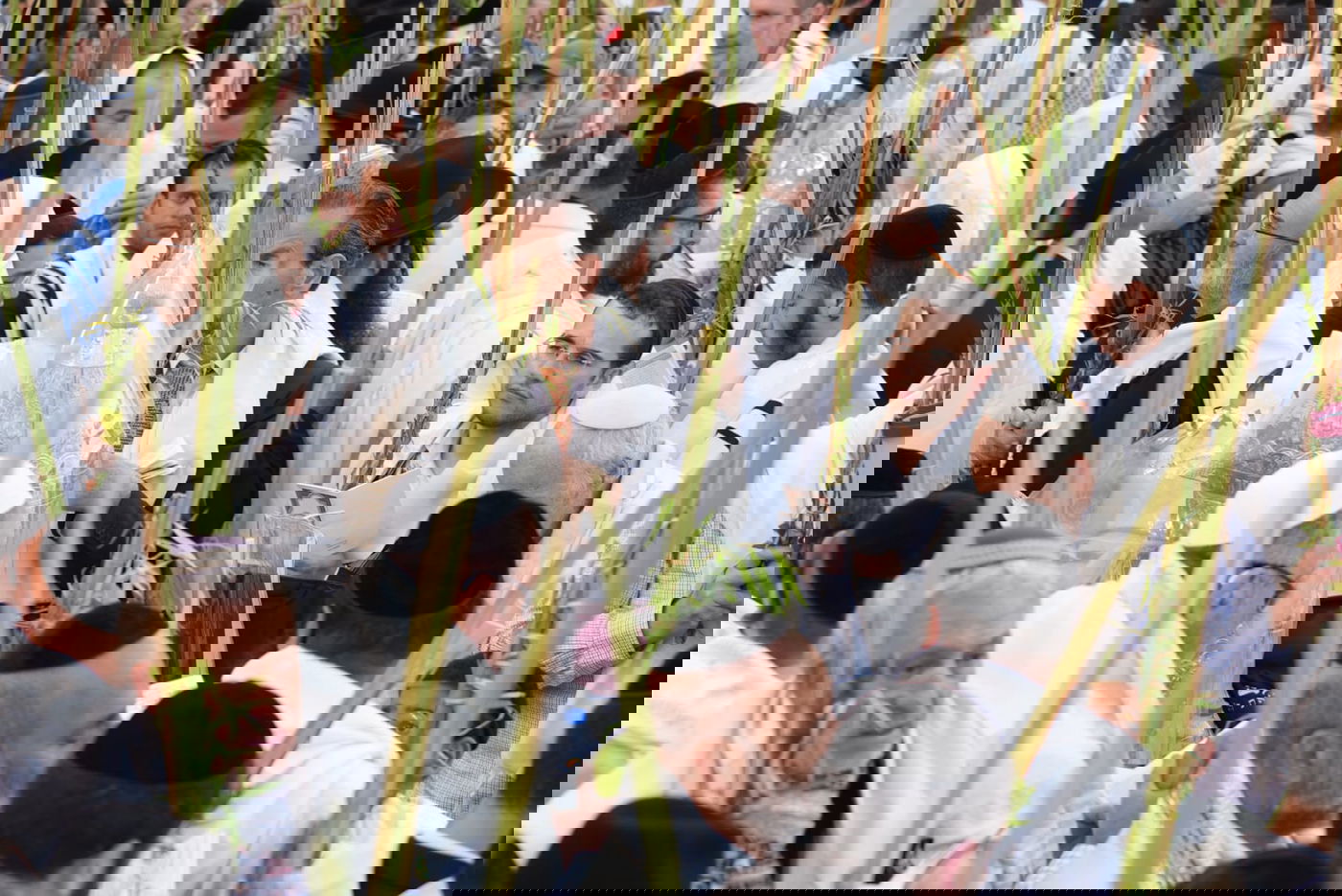 תיעוד: גלרייה אומנותית מרהיבה מהושענא רבא בכותל 