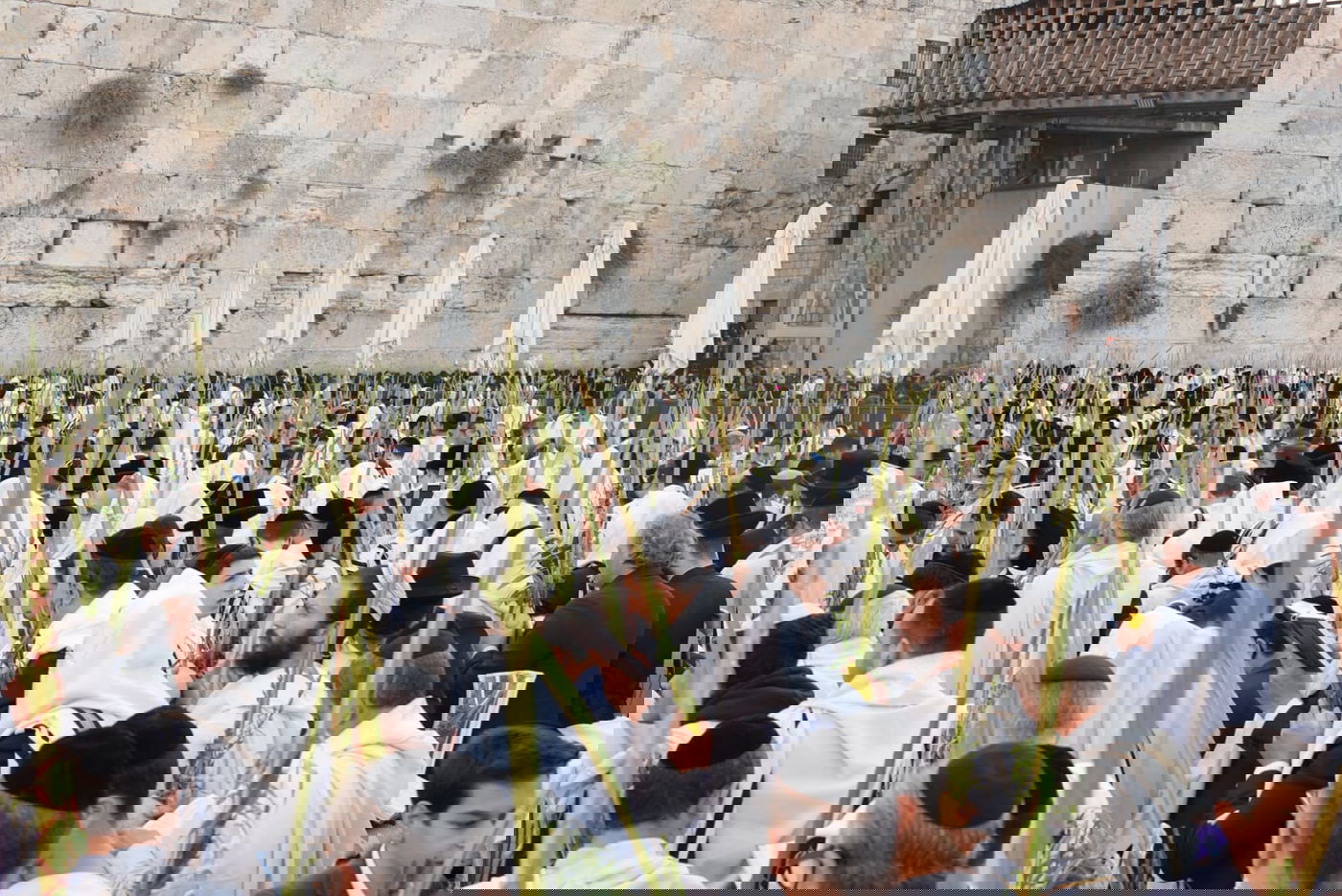 תיעוד: גלרייה אומנותית מרהיבה מהושענא רבא בכותל 