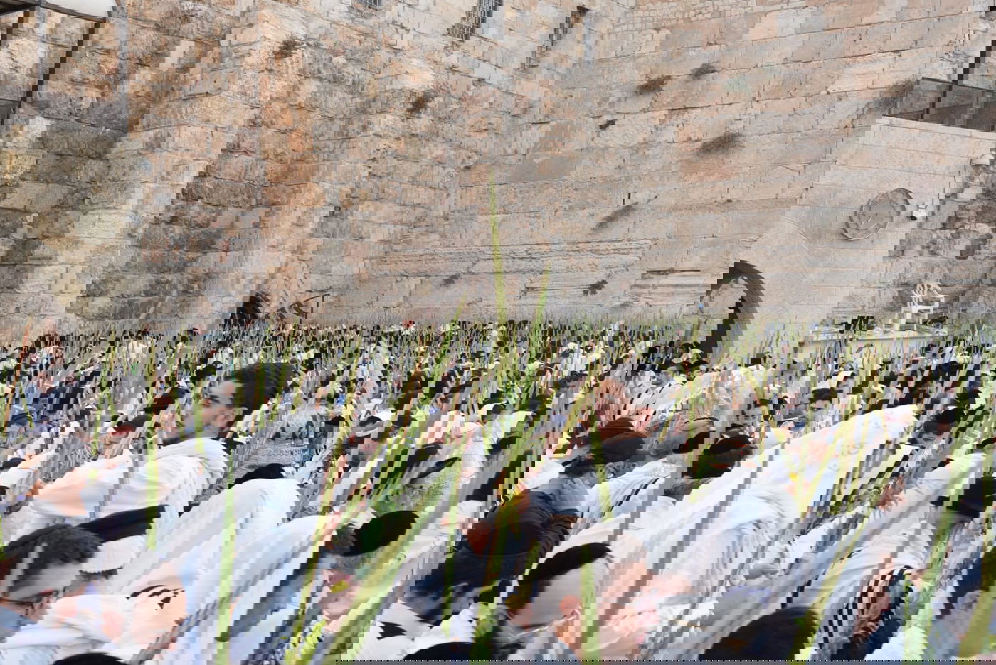 תיעוד: גלרייה אומנותית מרהיבה מהושענא רבא בכותל 