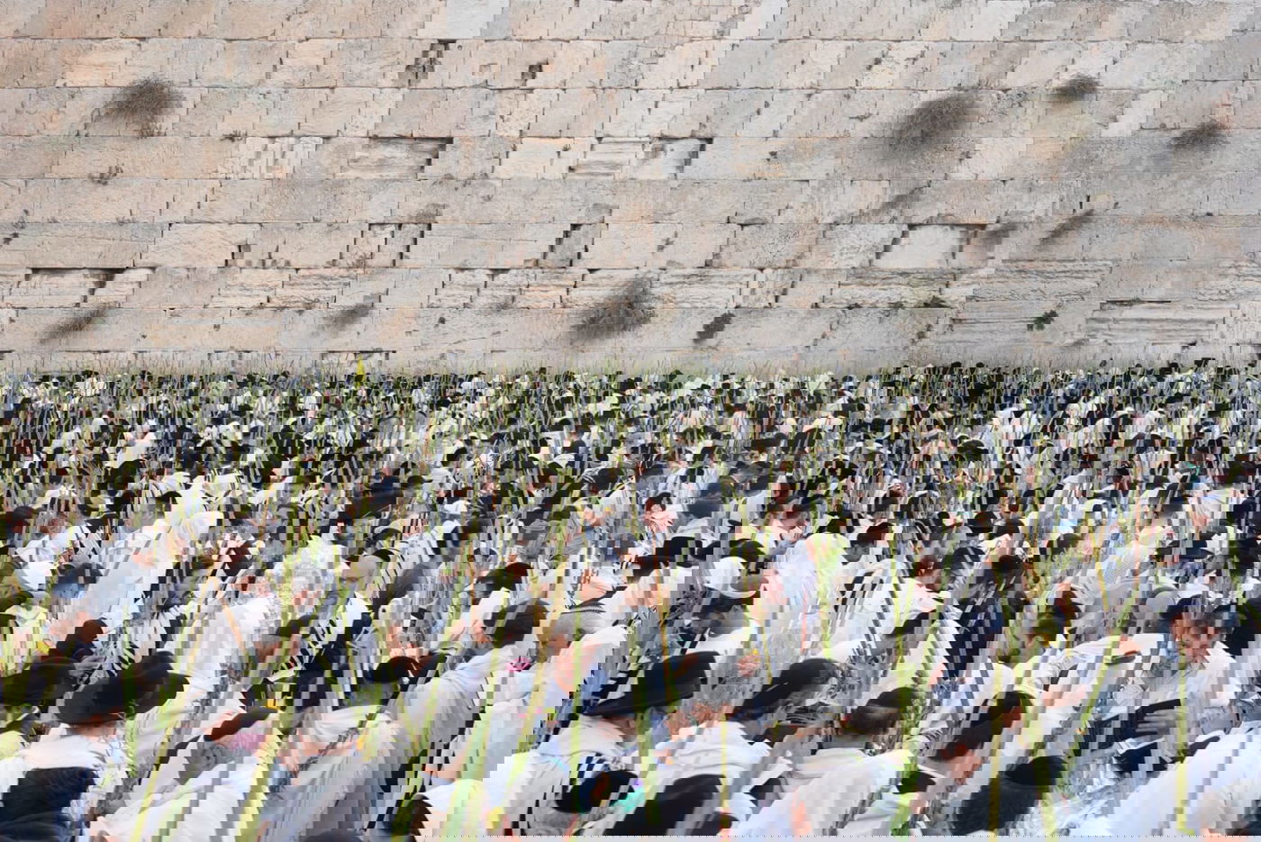 תיעוד: גלרייה אומנותית מרהיבה מהושענא רבא בכותל 