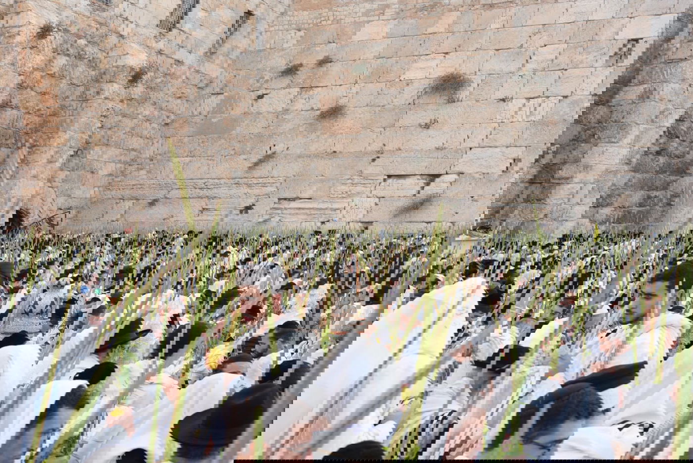 תיעוד: גלרייה אומנותית מרהיבה מהושענא רבא בכותל 