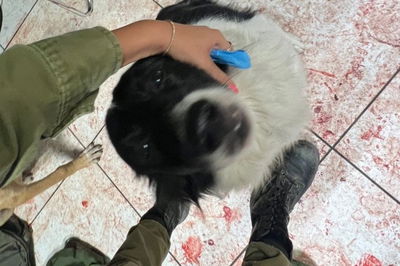 הגבורה והאימה של תצפיתניות צה"ל | "טיפלתי בפצועים עם מחבלים בבסיס"  