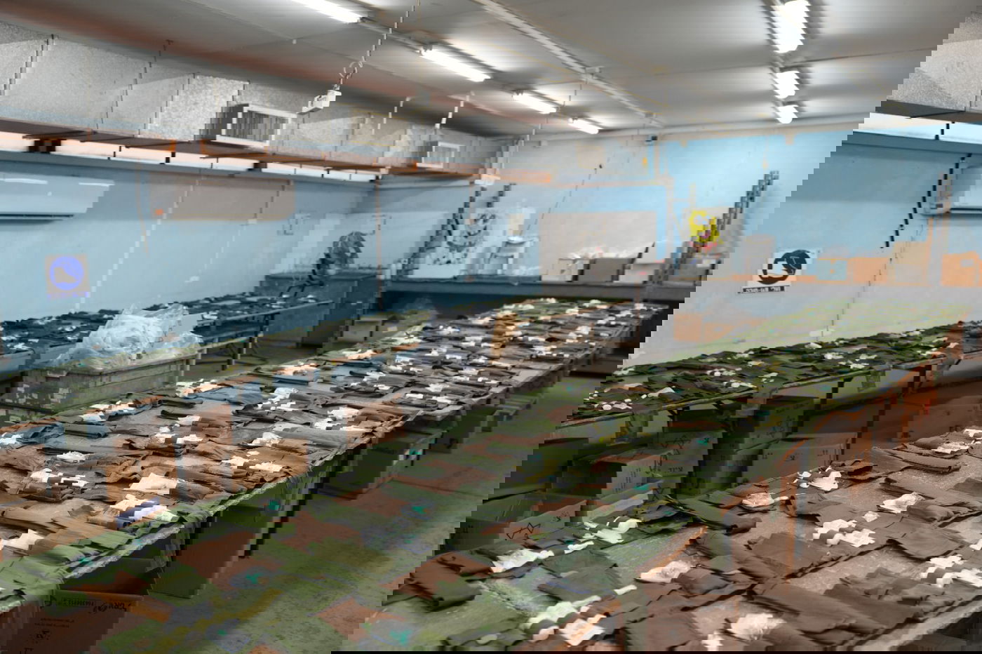 3 מיליון כדורים, 4300 אוטובוסים | צה"ל: "כלל הציוד הדרוש קיים בצבא" | צפו 