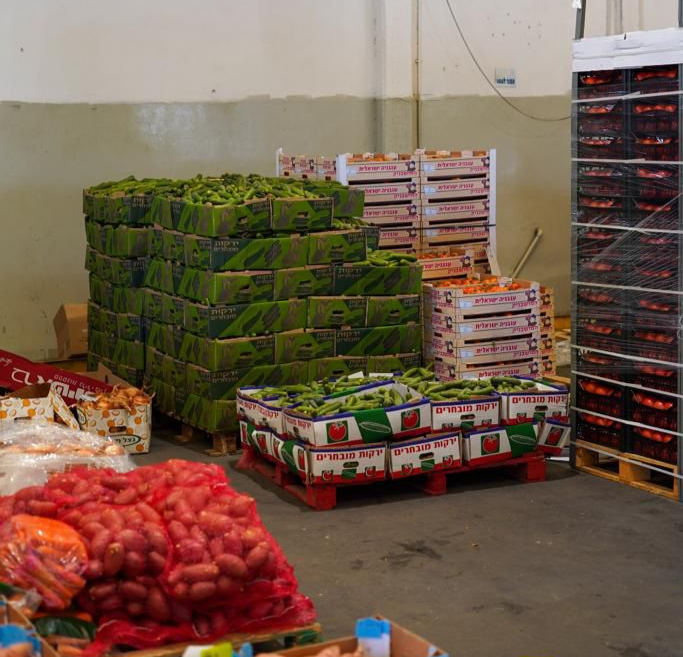 3 מיליון כדורים, 4300 אוטובוסים | צה"ל: "כלל הציוד הדרוש קיים בצבא" | צפו 