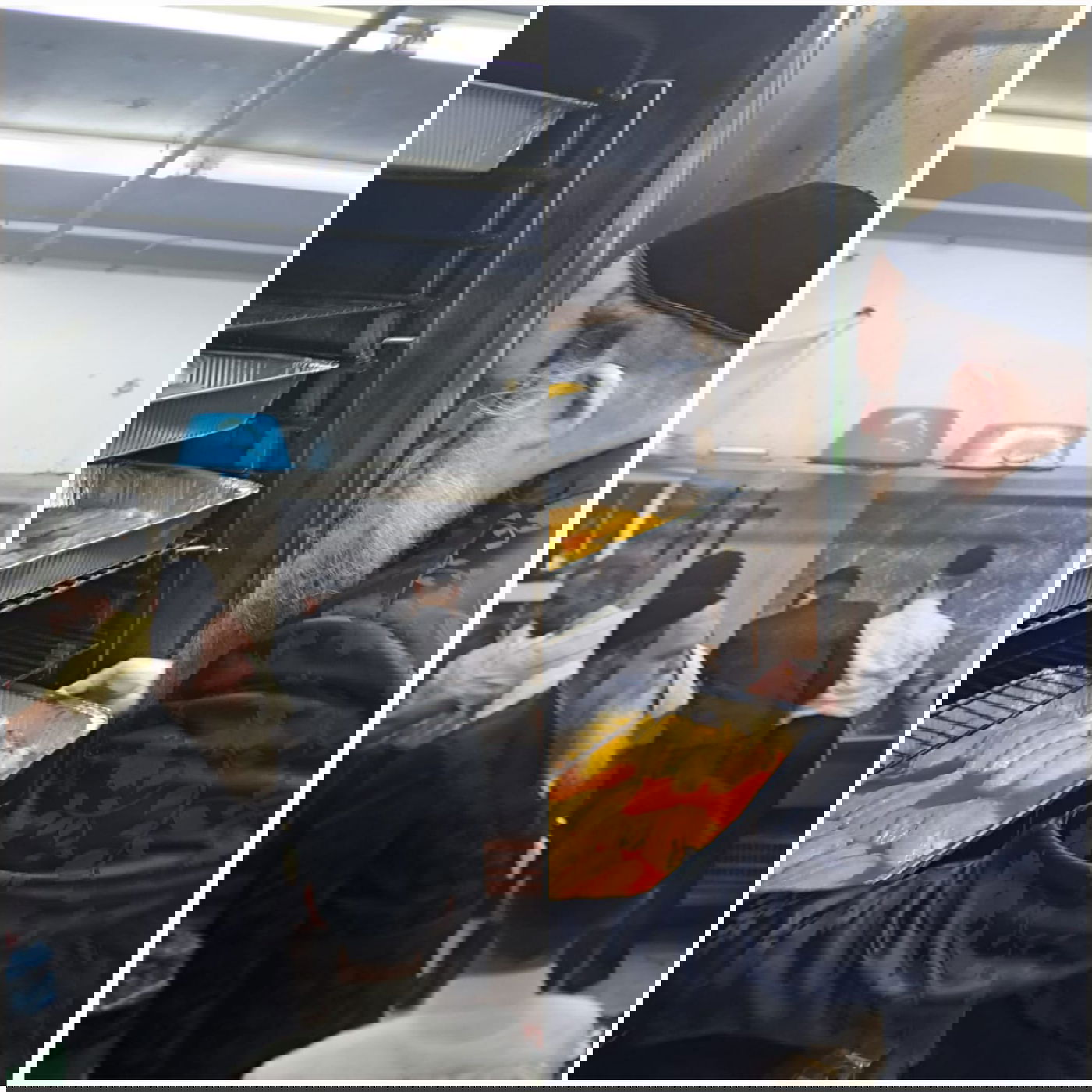 זופניק בכיכר • כל התמונות והנייעס של מלחמת שמחת תורה