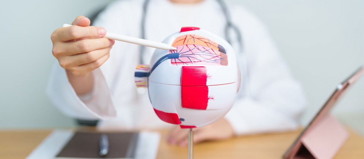 אילוסטרציה