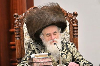 האדמו"ר מויז'ניץ