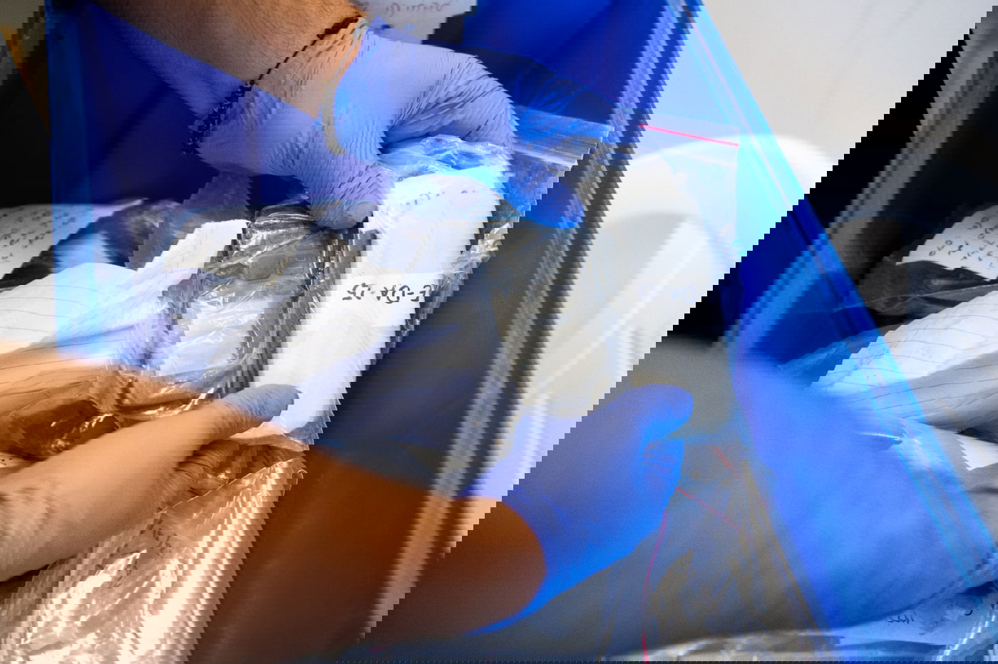 האמצעים שנחשפו