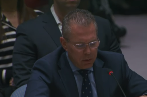 השגריר ארדן