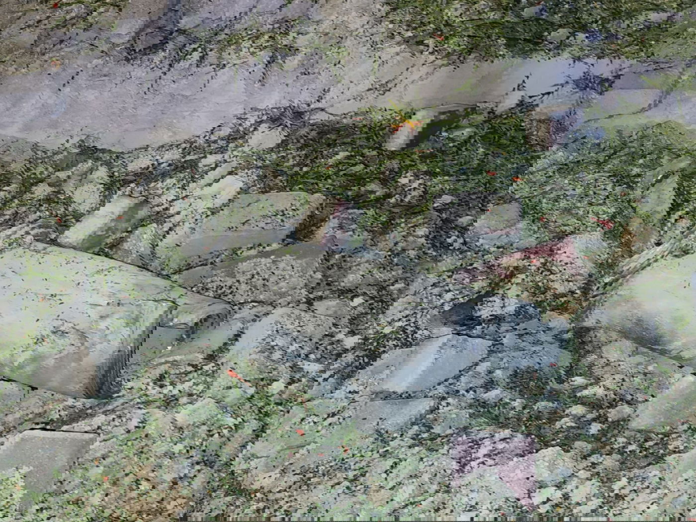 נפילה בשדרות