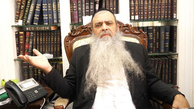 הרב רפאל זר בפינה לפרשת נח • צפו