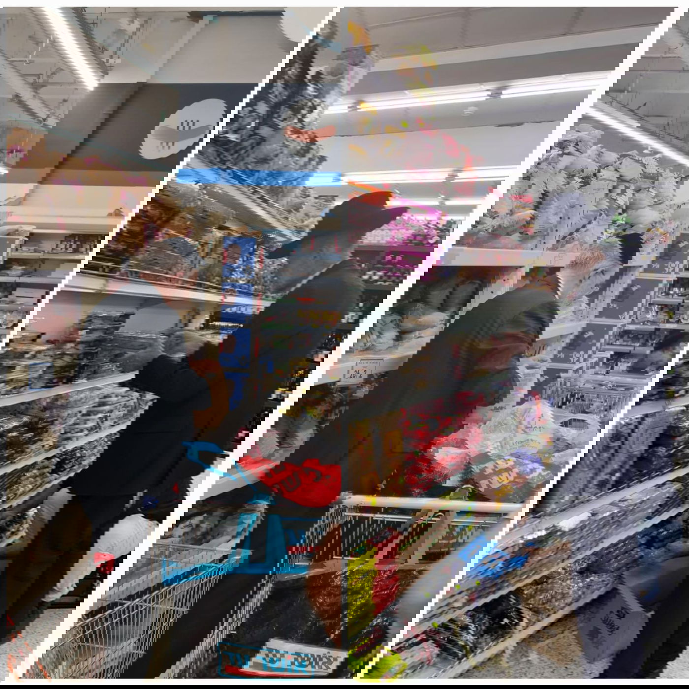 זופניק בכיכר • כל התמונות והנייעס של המלחמה