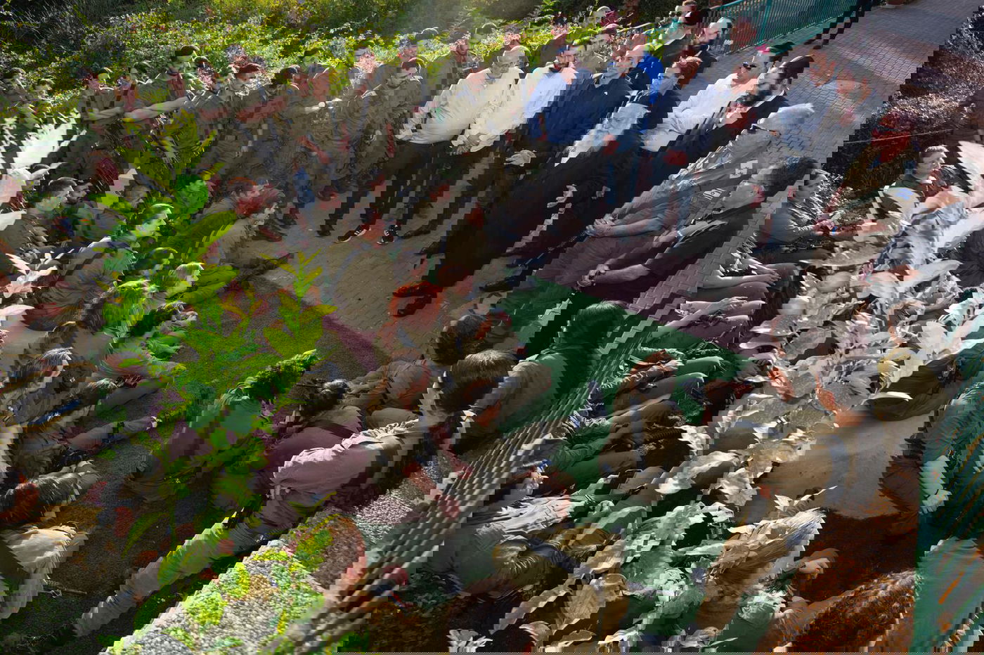 הסיור היום של גולדקנופף