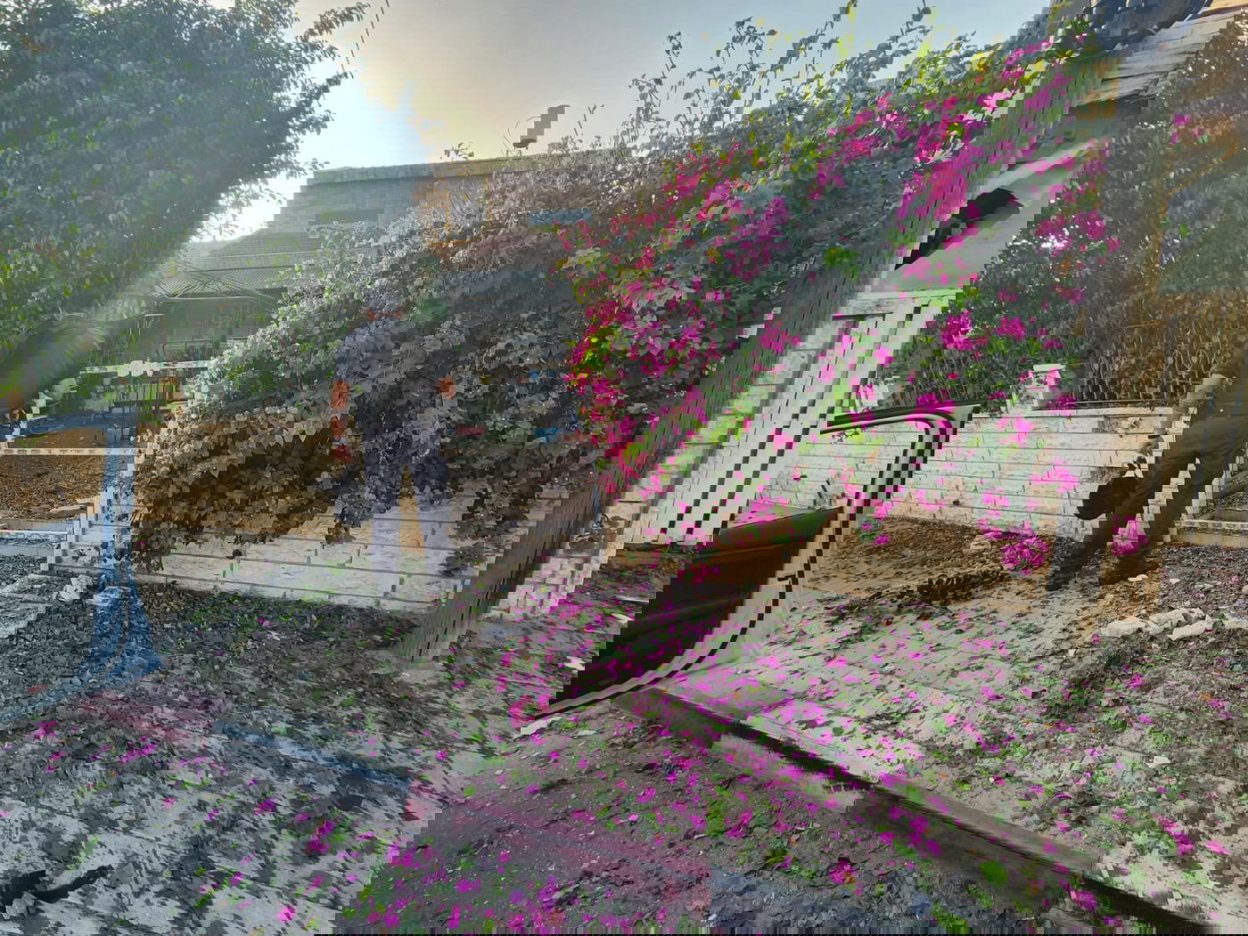 הפגיעה בשדרות