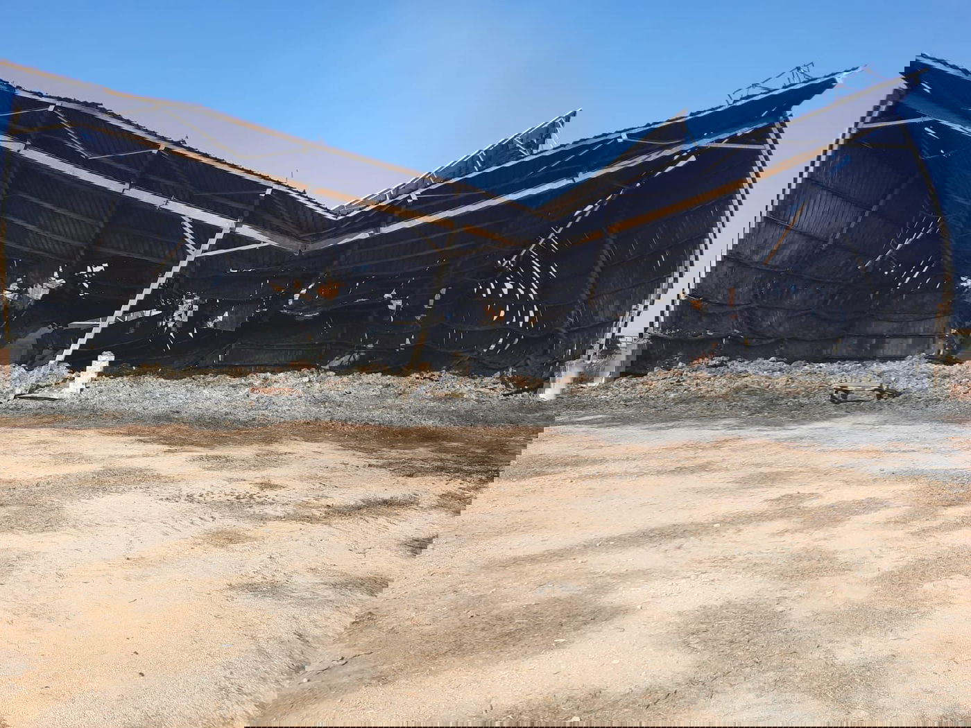 תנובה מקימה קרן של כ-15 מיליון שקל   לתמיכה ברפתות בעוטף