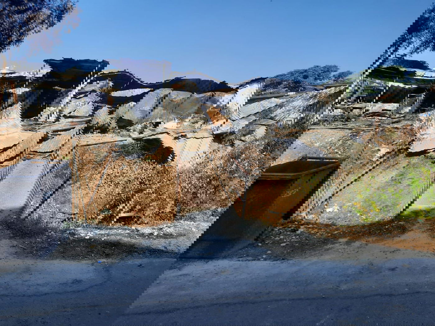 תנובה מקימה קרן של כ-15 מיליון שקל   לתמיכה ברפתות בעוטף