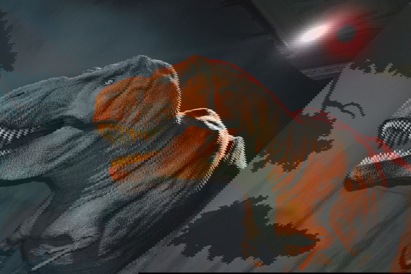 דינוזאורים, היה דבר כזה בכלל? פולמוס מרתק לדעתם של גדולי הדורות