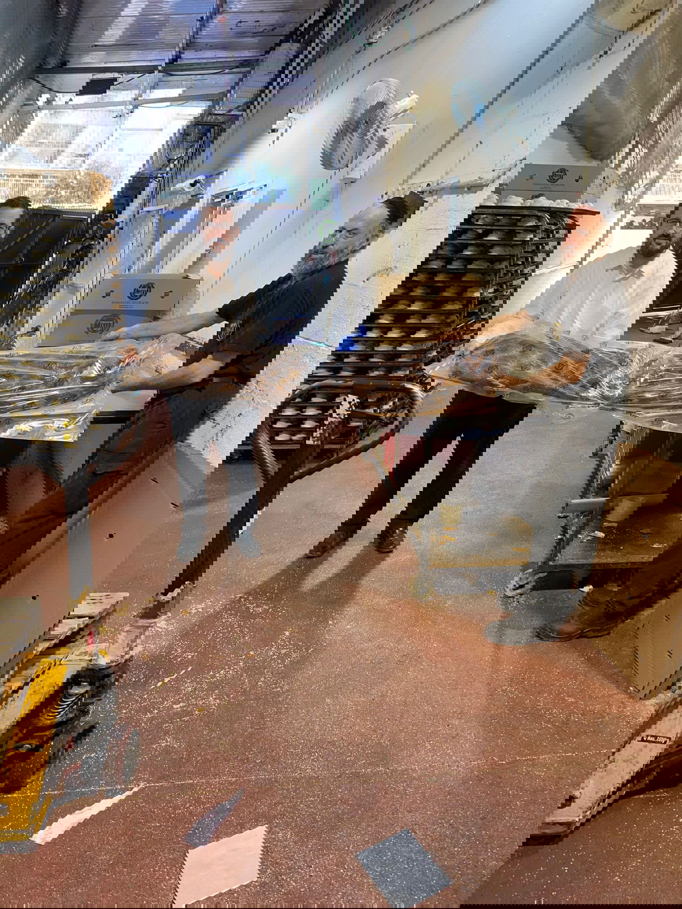 זופניק בכיכר • כל התמונות, הנייעס והחשיפות של המלחמה