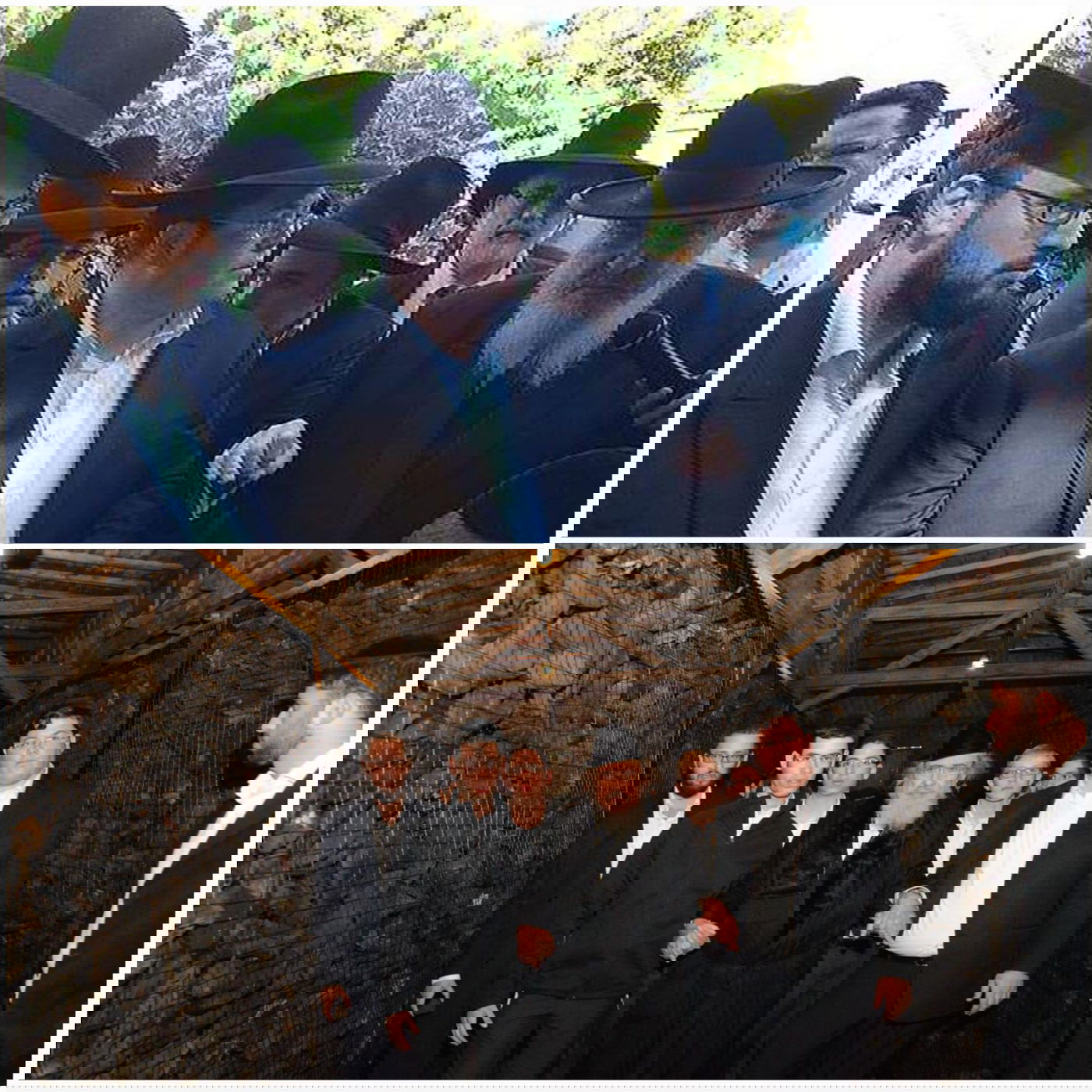 זופניק בכיכר • כל התמונות, הנייעס והחשיפות של המלחמה