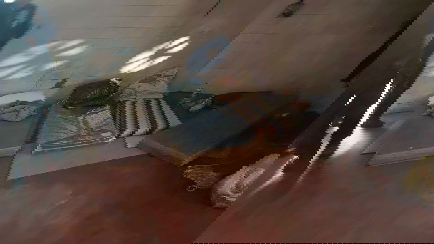 פעילות למעצר שבחי"ם