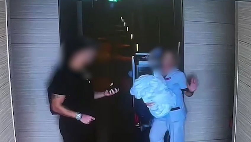 הגנבים בבית המלון