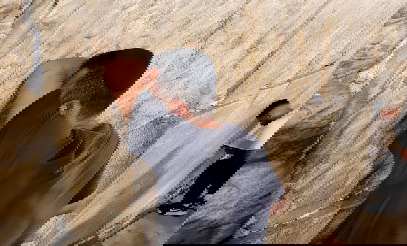 זופניק בכיכר • כל התמונות, הנייעס והחשיפות של המלחמה