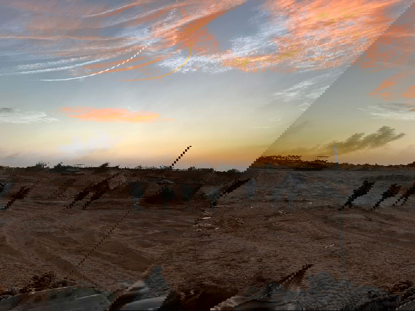 כוחות צה"ל ברצועת עזה