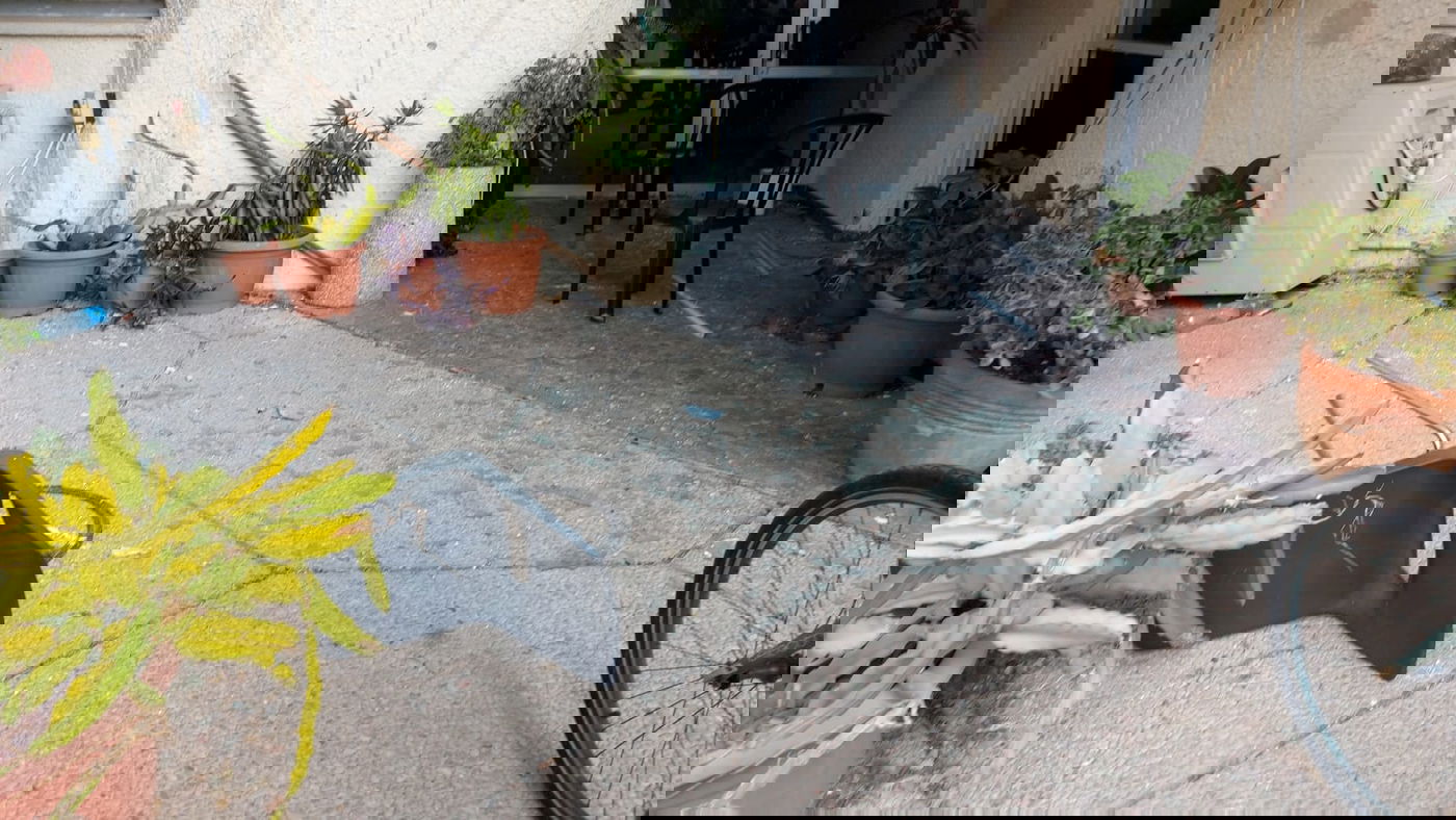 וזה עוד לאחר ניקוי: הכניסה לחדר האוכל. שברי זכוכיות וכיסאות הפוכים מפוזרים